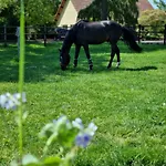 Vakantiewoning Schouwenberg Hébergement de vacances