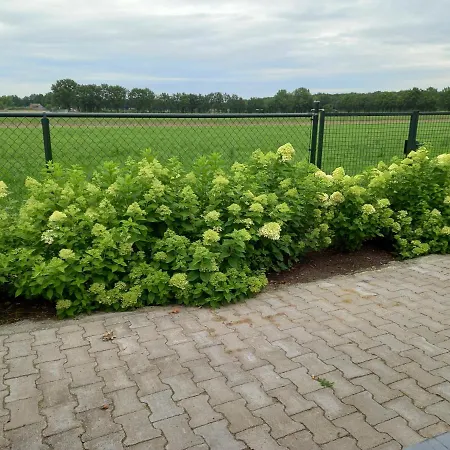 Semesterbostad Vakantiewoning Schouwenberg