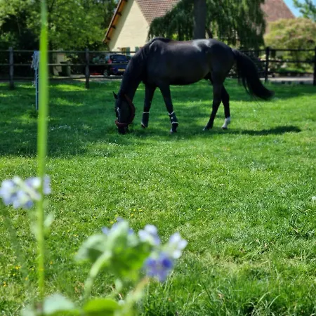 Vakantiewoning Schouwenberg Semesterbostad