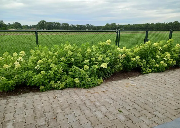 Prázdninový dům Vakantiewoning Schouwenberg