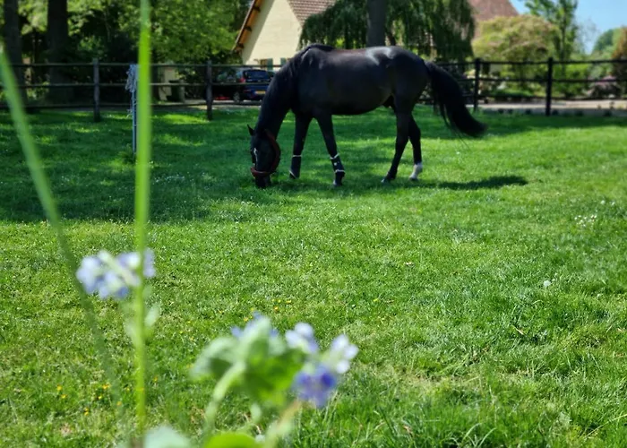 Vakantiewoning Schouwenberg Prázdninový dům