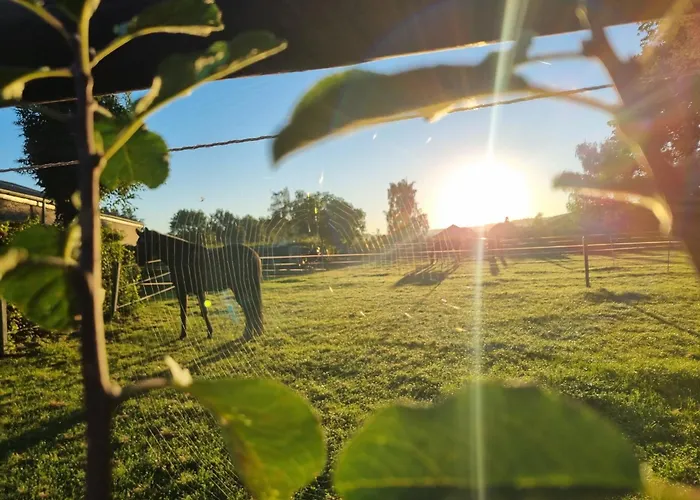 Prázdninový dům Vakantiewoning Schouwenberg *